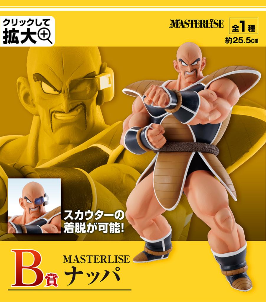 Prize B MASTERLISE Nappa