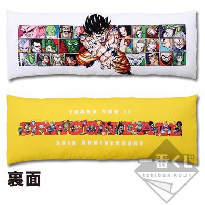 Cushion