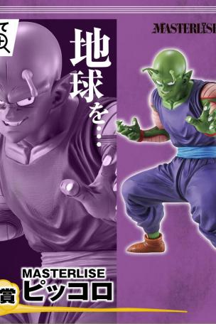 Lot B : MASTERLISE Piccolo