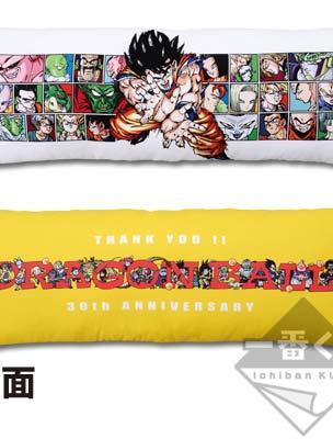 Cushion