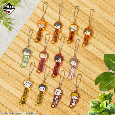 Ichiban Kuji Haikyuu!! ~Le Panorama du Sommet~ - Photo 17