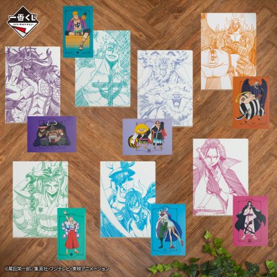 Ichiban Kuji One Piece Battaglia delle Due Ali - Photo 21