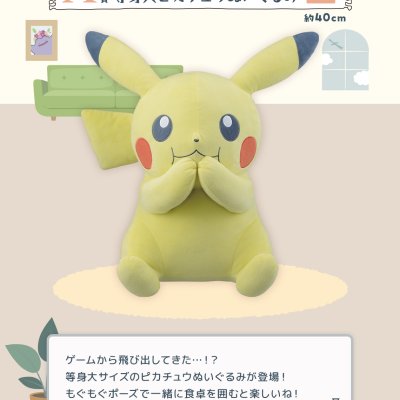 2024 Pokémon Collection Ichiban Kuji ～Welcome to the Pokémon House～ - Photo 16