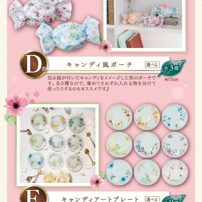 Ichiban Kuji Pokémon EIEVUI & Floral Candy - Photo 2