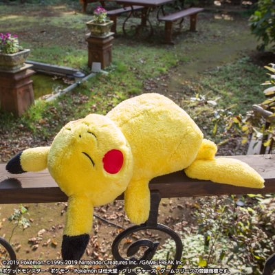 Ichiban Kuji « Pokémon Épée et Bouclier » – Loterie commémorative de sortie - Photo 11