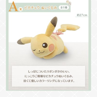 Ichiban Kuji Pokémon ~Fantasy Closet~ - Photo 14