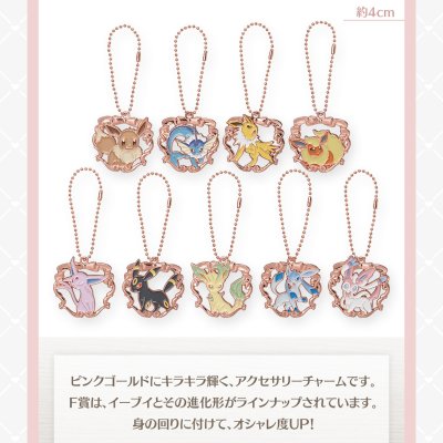 Ichiban Kuji Pokémon ~Fantasy Closet~ - Photo 19