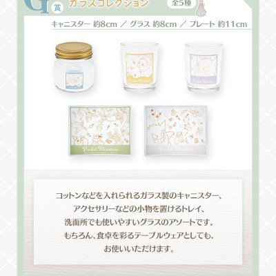 Ichiban Kuji Pokémon ~Fantasy Closet~ - Photo 20