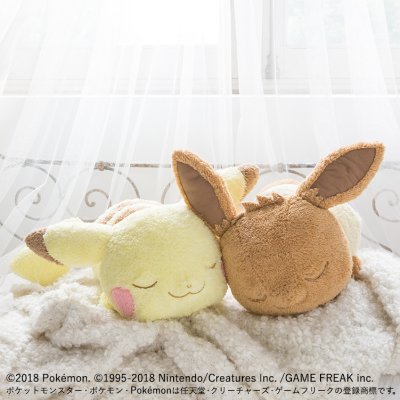 Kuji Pokémon Collection 2018 ~Pikachu & Évoli~ - Photo 9