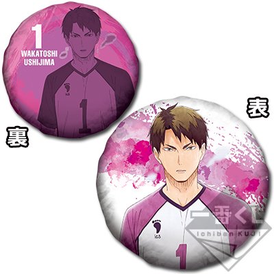 Ushijima Cushion