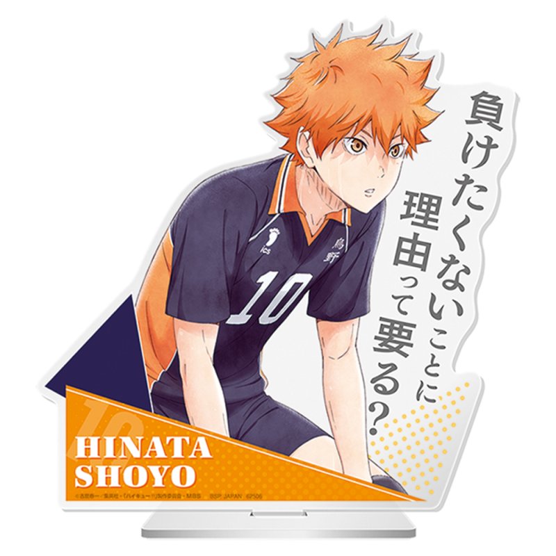 Shôyô Hinata – Grand stand acrylique