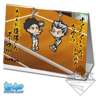 Ritiro di allenamento!! Set di mascotte in gomma Bokuto & Akaashi