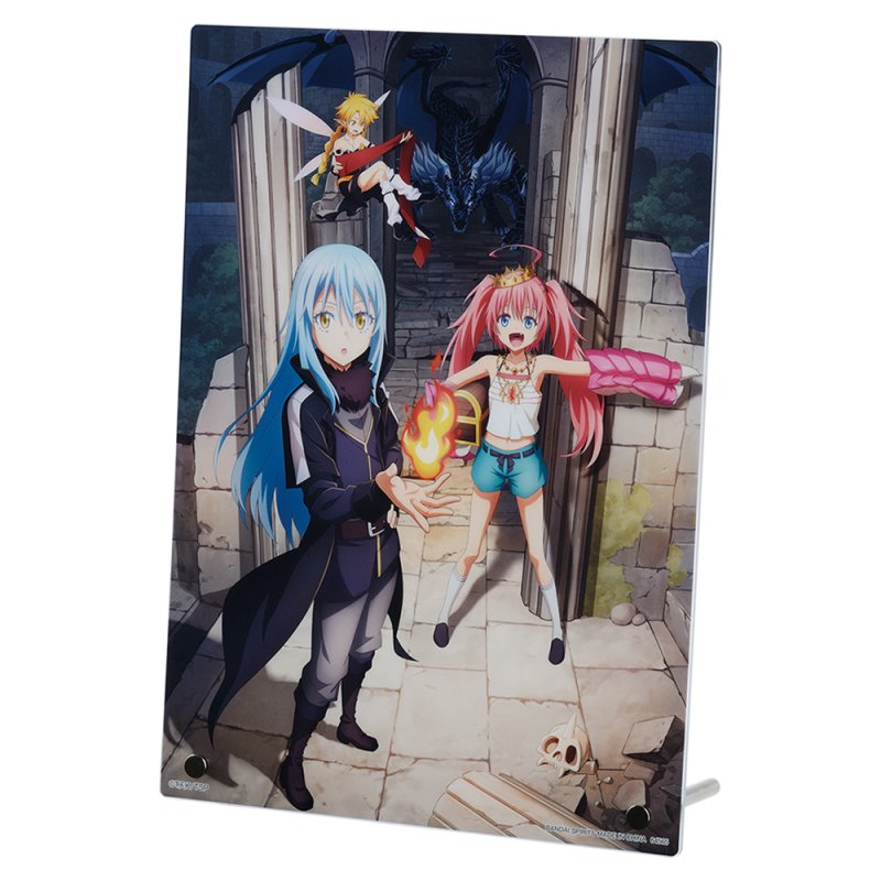 Pannello espositivo in acrilico