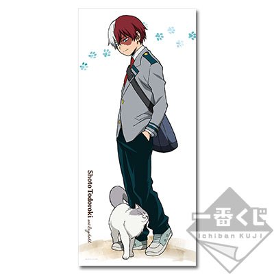 Shoto Todoroki BIG Visual Cloth