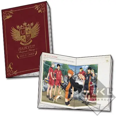 Art Book Ichiban Kuji