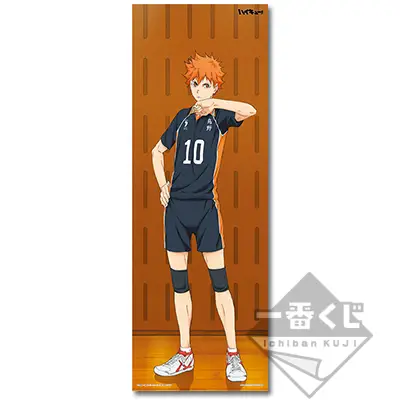 Visual Cloth Shôyô Hinata