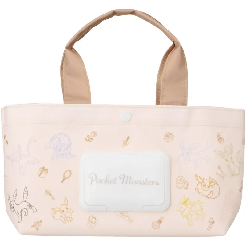 Sac organisateur (bag-in-bag)