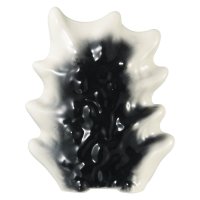 Piatto « Pinne dorsali »