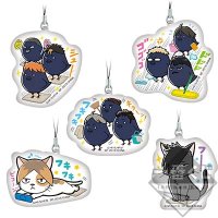 Display-Reinigungs- Strap