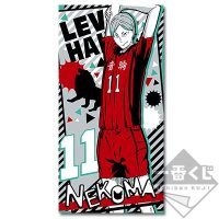 Lev Haiba Bath Towel