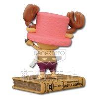 History Figure ~ONE PIECE FILM~ “La Princesa del desierto y los piratas”