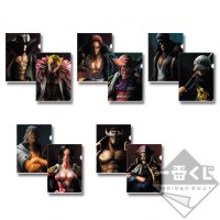 Portrait Clear File Set