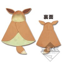 Couverture à capuche ~ version Évoli ~