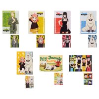 Set di clear file e cartoline