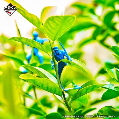 Ichiban Kuji One Piece Justice absolue - Photo 24