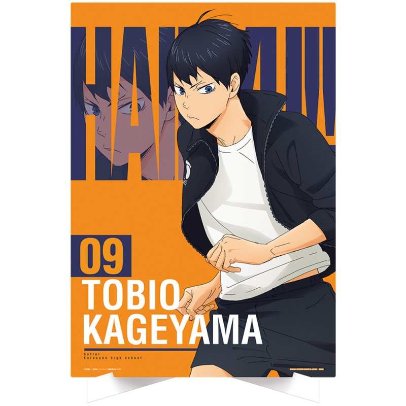 Tobio Kageyama — Illustration Board