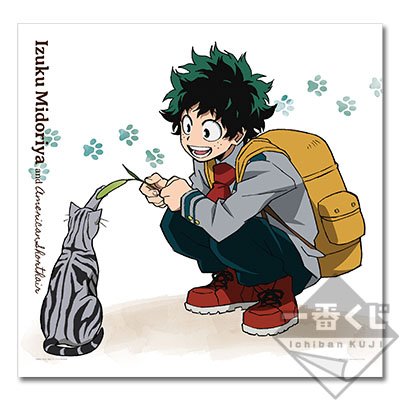 Izuku Midoriya – Grand Visual Cloth