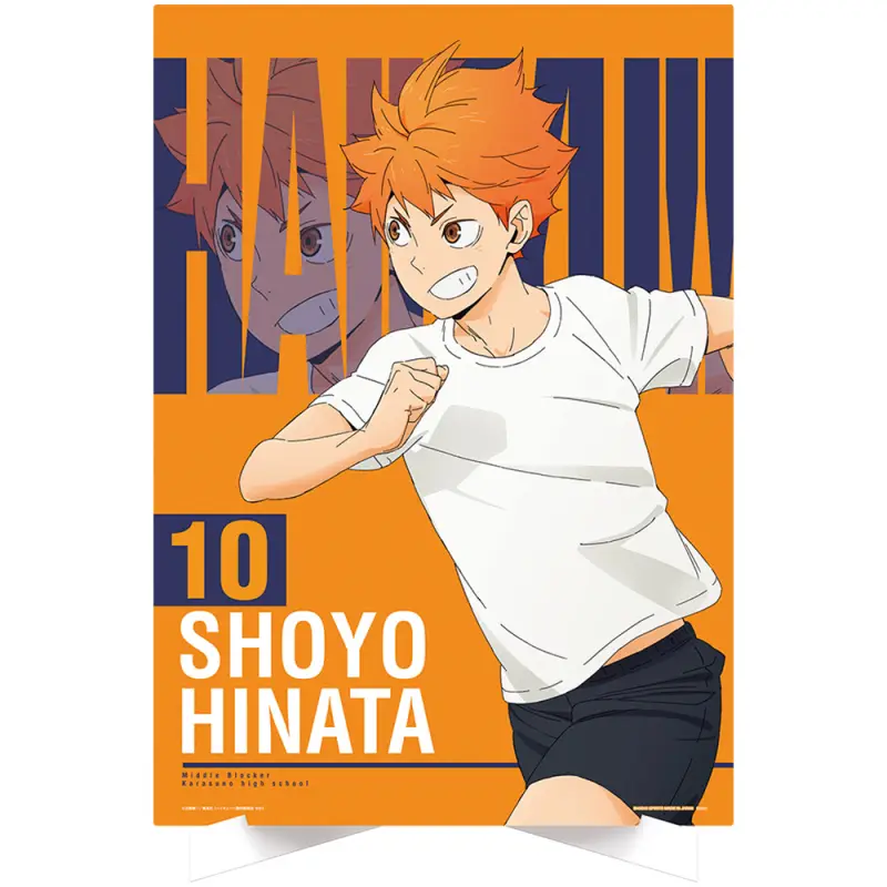 Shôyô Hinata – Illustration Board