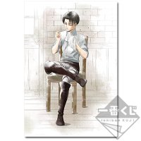 Levi BIG Cross