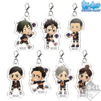 Charm acrylique Karasuno