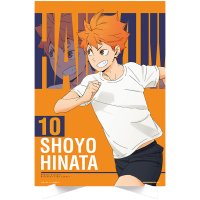 Shôyô Hinata – Illustration Board