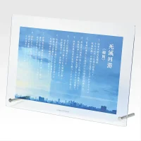 Acrylboard „Culling Game“: Allgemeine Regeln (Regeln)