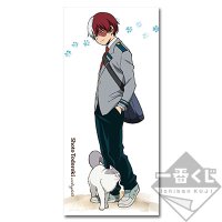Shoto Todoroki – Grand Visual Cloth