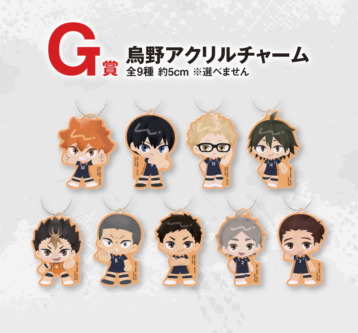 Ichiban Kuji Film Haikyu!! La Bataille de la Décharge 2 - Photo 17