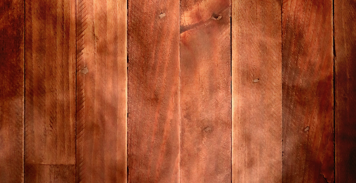 Ichiban Kuji HUNTER×HUNTER CHMERA ANT - Photo 44