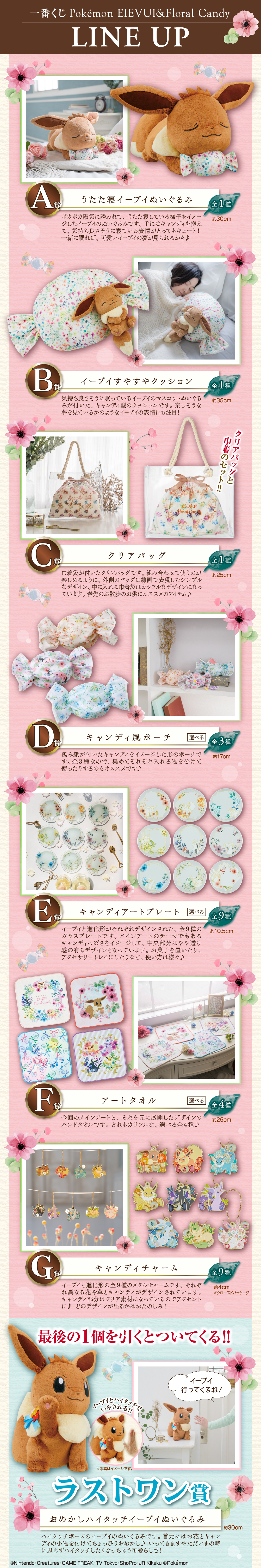 Ichiban Kuji Pokémon EIEVUI & Floral Candy - Photo 2