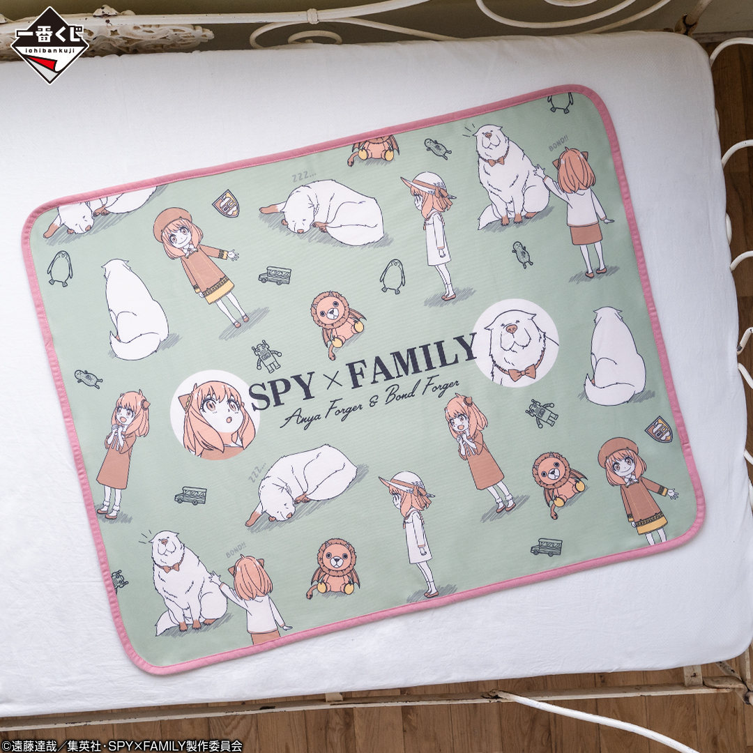 Ichiban Kuji SPY×FAMILY -Embark on a mission- - Photo 3
