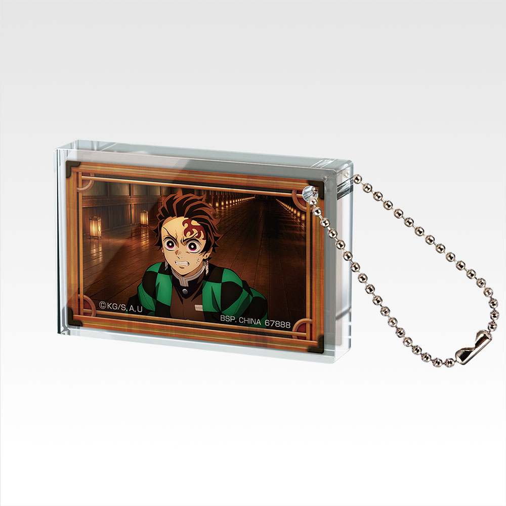 Porte-clés Acritz - Photo 1