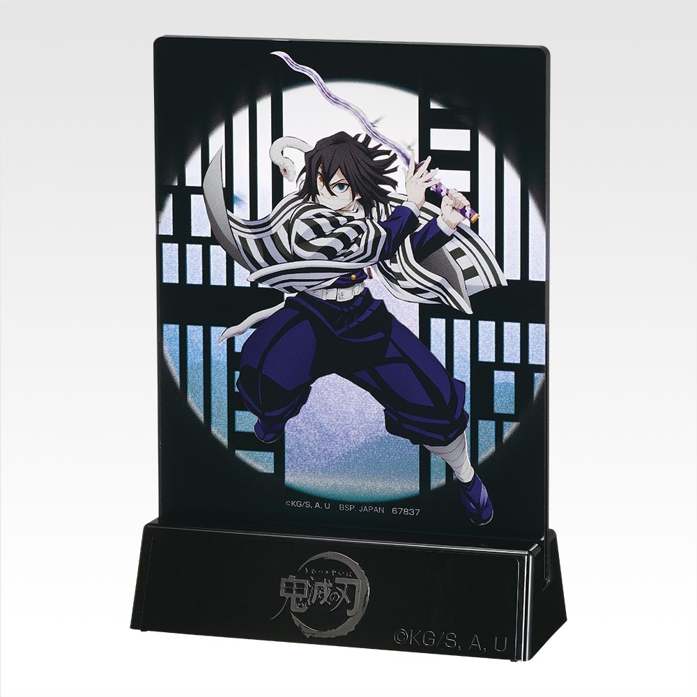 Mini panneau d’illustration - Photo 8