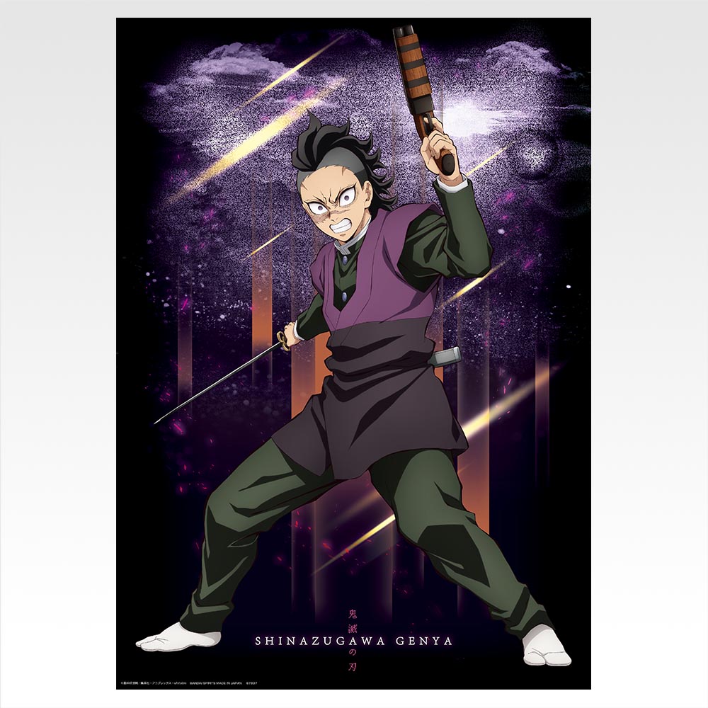 Collection de posters - Photo 6