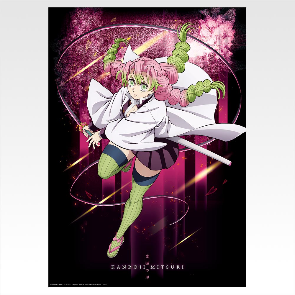 Collection de posters - Photo 11