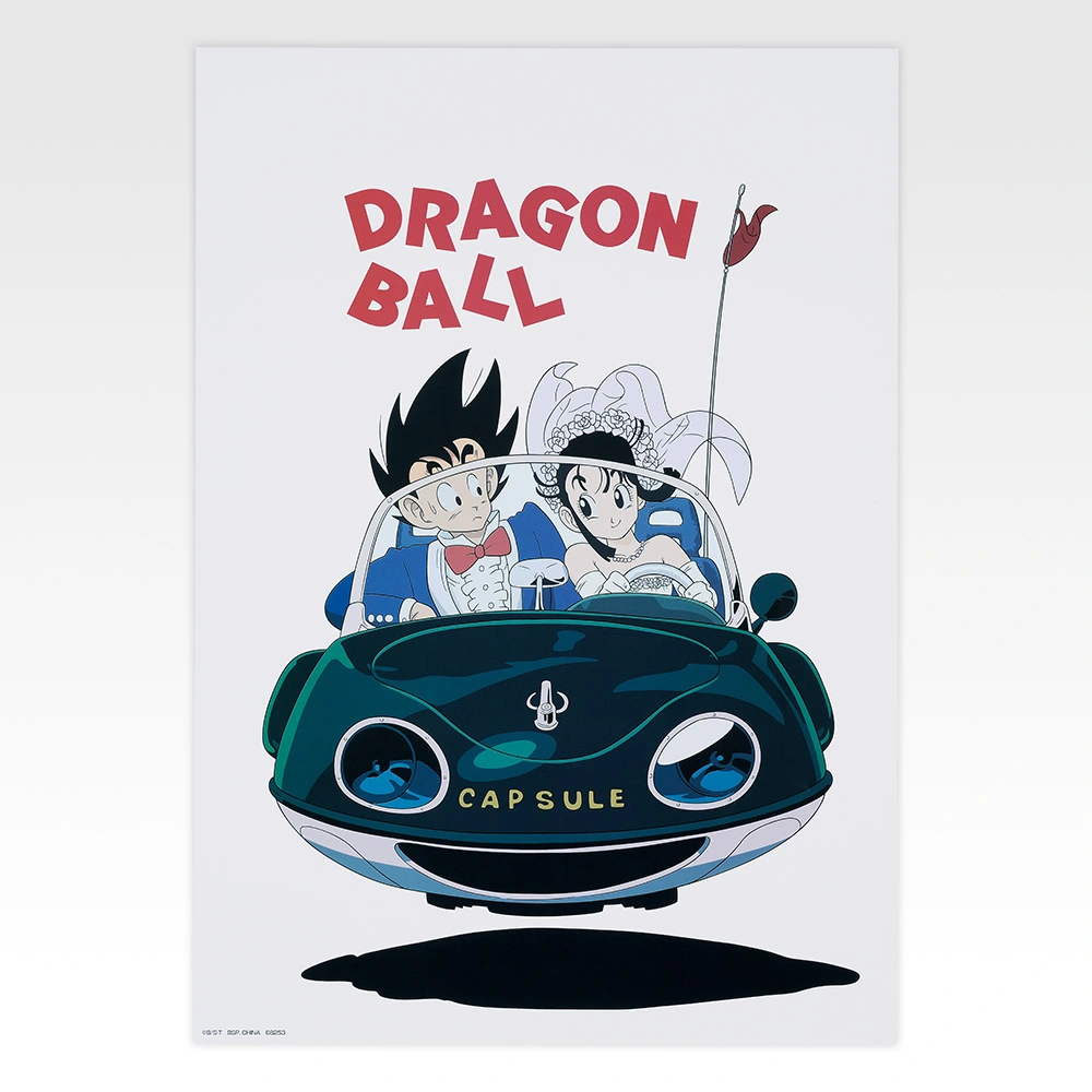 Collection de posters - Photo 2