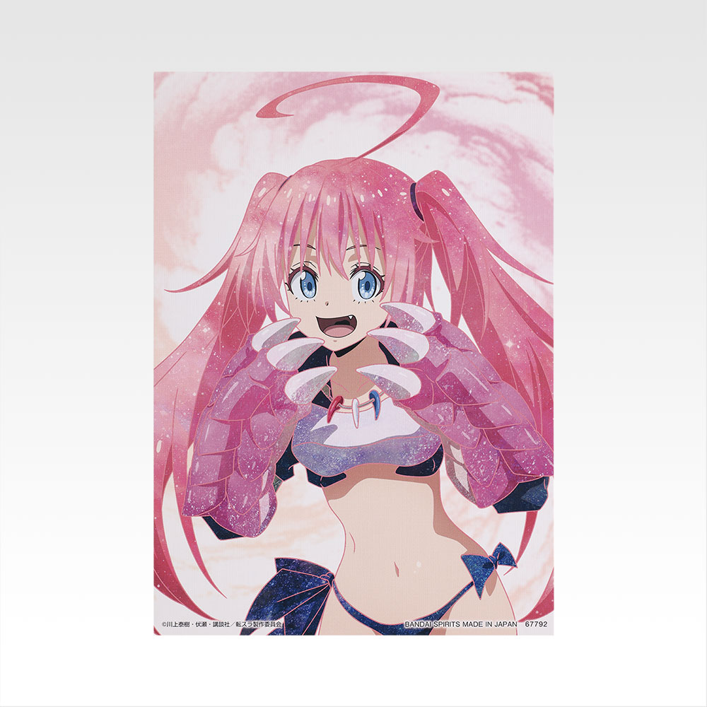 Planche d’illustration - Photo 2