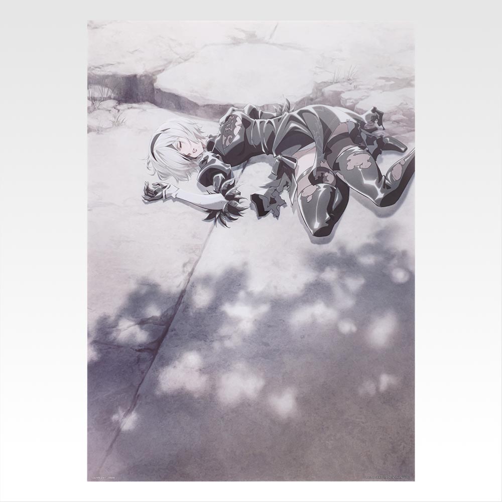 Poster transparent - Photo 9