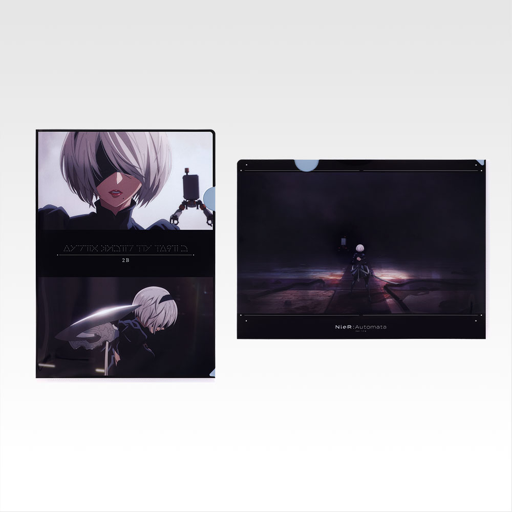 Set de clear files - Photo 1