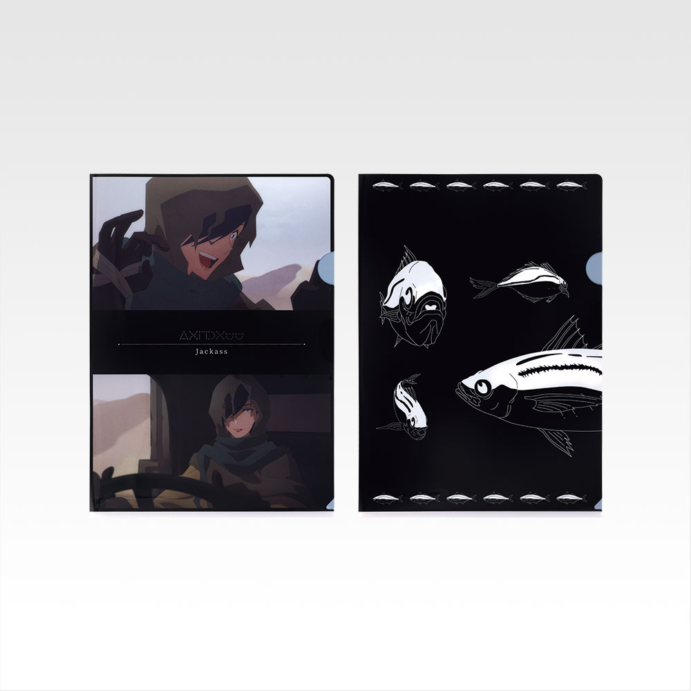 Set de clear files - Photo 5